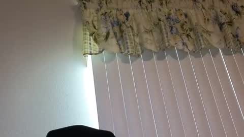 Snapshot of boobi2991 chatting on April 2026 10:01:02 PM sissy slut boobi online show from April 2026 10:01:02 PM
