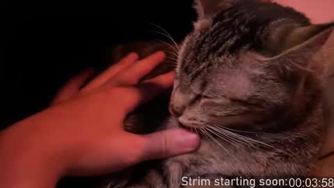 Booker Baxton online show from February 2026 04:07:01 AM