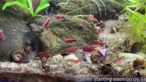 Booker Baxton online show from April 2026 03:06:01 AM