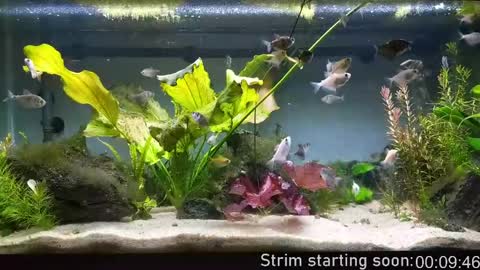 Booker Baxton online show from April 2026 02:58:01 AM