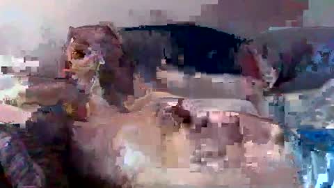 boomer64814390 online show from July 2026 07:32:02 AM