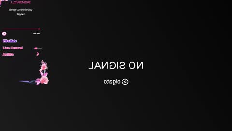 boootyfrytti online show from March 2026 07:40:02 PM