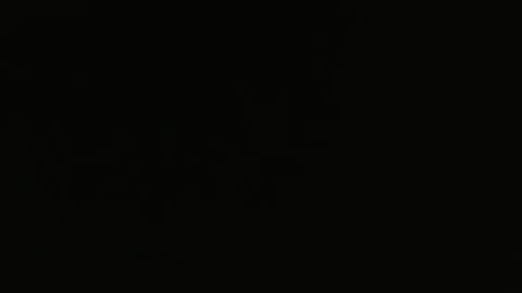 bossram160 online show from February 2025 10:08:02 AM