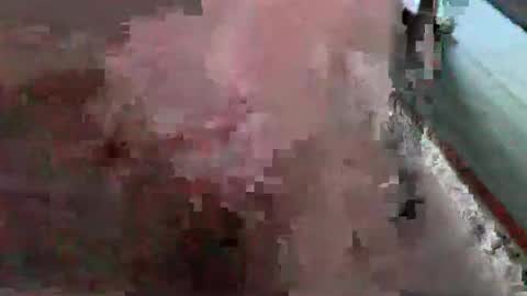 bossram160 online show from October 2025 01:28:01 PM