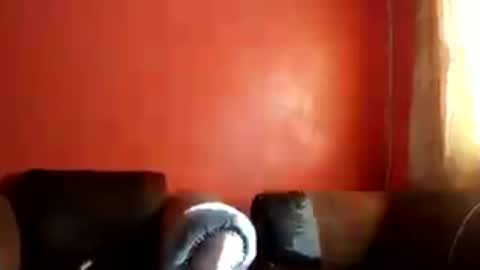 Snapshot of botsougaba chatting on July 2026 07:48:02 AM botsougaba online show from July 2026 07:48:02 AM