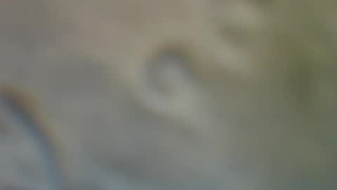 Snapshot of bradynoggle chatting on September 2025 02:55:01 AM bradynoggle online show from September 2025 02:55:01 AM