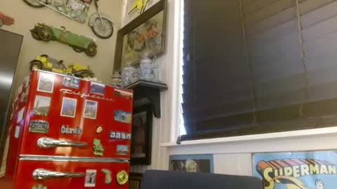 i am a naughty jedi knight online show from April 2026 12:36:02 AM