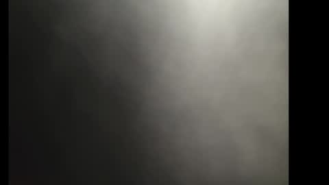 brakknomus online show from December 2024 10:39:02 AM