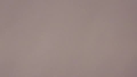 Brandy online show from January 2026 07:24:02 AM