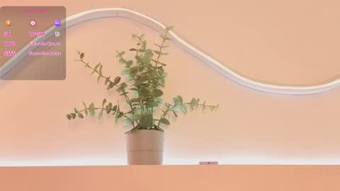 Snapshot of brenda_sky19 chatting on April 2026 12:12:01 PM brenda_sky19 online show from April 2026 12:12:01 PM