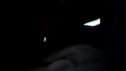 Snapshot of brentjames2690 chatting on April 2026 07:29:01 PM brentjames2690 online show from April 2026 07:29:01 PM