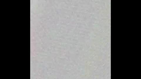 fresh meats online show from February 2026 08:40:01 AM