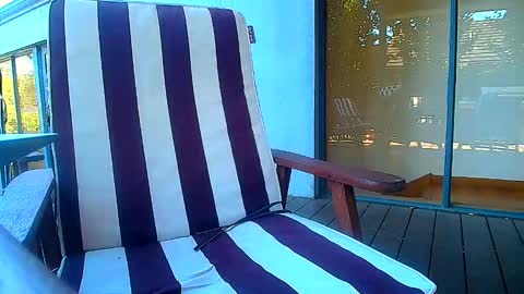 Fun Monster online show from February 2026 06:19:02 AM