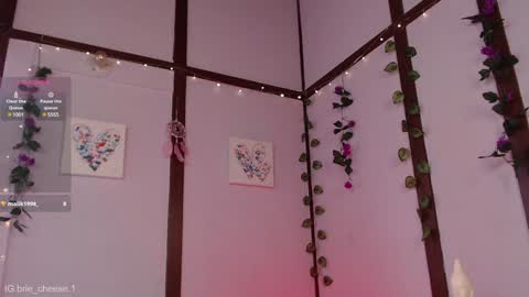 Brie  Ill be away November 2829 and 30. See u on Sunday for more fun online show from January 2025 07:13:01 PM