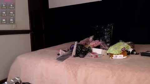 Brigith online show from December 2025 04:06:01 AM