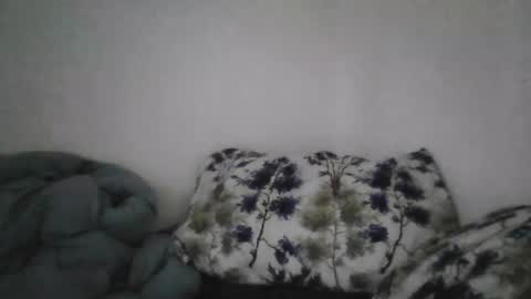 Snapshot of bruc12168 chatting on June 2026 12:08:01 PM Bruc12168 fit slim new makemecum bigdick edging online show from June 2026 12:08:01 PM
