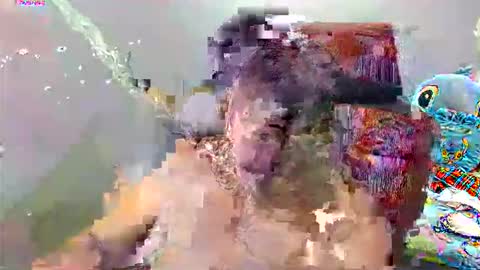 Sunshine online show from April 2026 12:55:02 AM