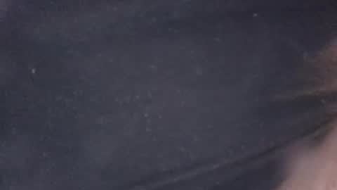 buddyluvzumore online show from October 2025 04:35:02 AM