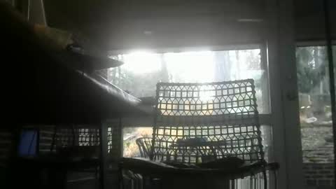 bulldog302w online show from January 2026 01:39:01 PM