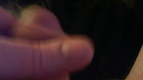 bullemoe online show from February 2026 01:34:02 AM