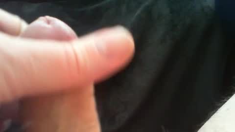 bullemoe online show from March 2026 10:09:01 AM