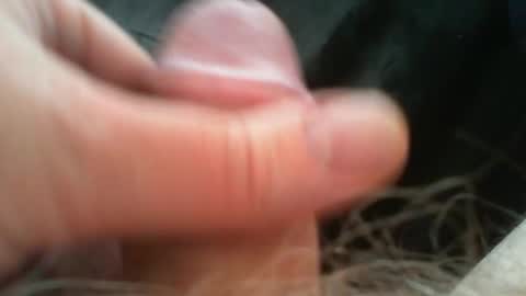 bullemoe online show from April 2026 11:08:02 AM