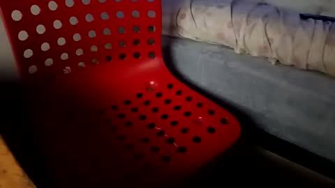 Snapshot of bullspain27266272 chatting on January 2025 04:41:01 AM bullspain27266272 online show from January 2025 04:41:01 AM