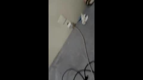 Snapshot of bullspain27266272 chatting on January 2025 03:01:02 AM bullspain27266272 online show from January 2025 03:01:02 AM