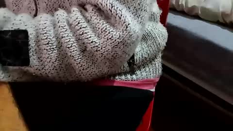 Snapshot of bullspain27266272 chatting on February 2025 10:22:02 PM bullspain27266272 online show from February 2025 10:22:02 PM