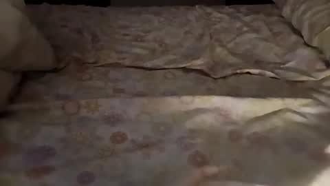 Snapshot of bullspain27266272 chatting on March 2025 04:47:01 AM bullspain27266272 online show from March 2025 04:47:01 AM