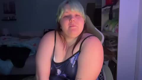 bumblebeebuzzer online show from February 2025 03:42:02 AM