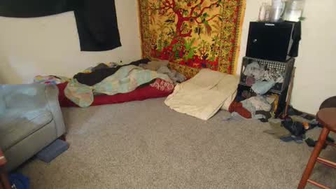 Shane online show from December 2025 04:55:02 PM