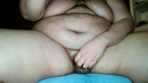 bunbbear online show from January 2025 03:29:01 PM