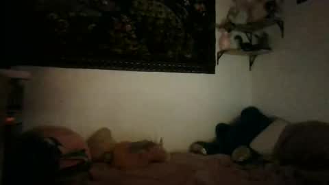 Snapshot of bunn13cat chatting on March 2026 12:52:01 PM bunn13cat online show from March 2026 12:52:01 PM