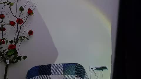 Snapshot of bunnybloom_ chatting on April 2026 08:03:02 PM Ariel online show from April 2026 08:03:02 PM