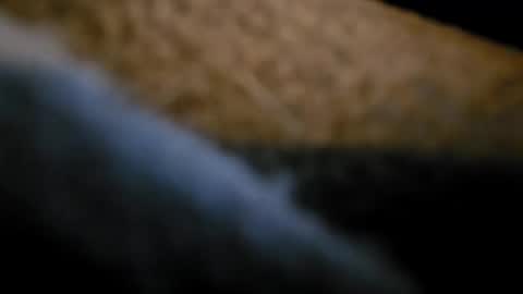 Snapshot of bunnynclyde8181 chatting on September 2025 12:37:02 PM bunnynclyde8181 online show from September 2025 12:37:02 PM