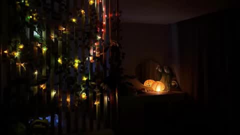 bunnypure online show from January 2026 10:53:01 AM