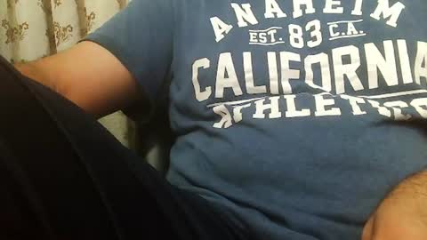 Hairy Arabian online show from July 2026 12:29:01 PM