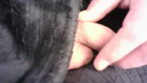 Hamish online show from March 2026 07:29:01 PM