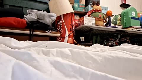 bushdoctor1 online show from September 2025 07:22:02 AM