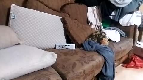 bxpapi69 online show from November 2025 01:26:02 AM