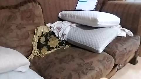 bxpapi69 online show from November 2025 11:59:01 PM