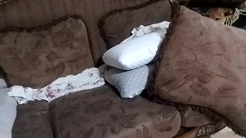 bxpapi69 online show from November 2025 11:50:01 PM