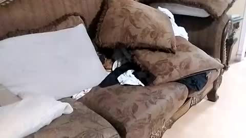 bxpapi69 online show from December 2025 10:37:02 PM