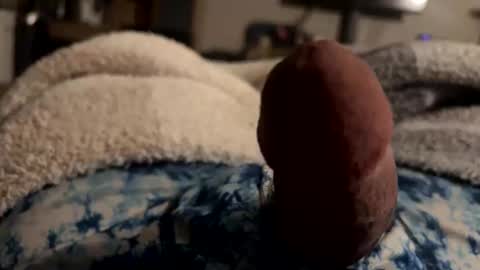 Snapshot of byrdbean chatting on January 2026 07:46:02 AM byrdbean online show from January 2026 07:46:02 AM