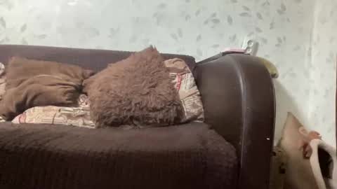 Anna online show from September 2025 06:31:02 PM