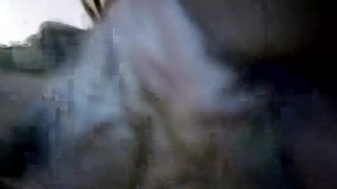 Snapshot of calvindadon chatting on August 2026 08:52:01 AM Calvindadun online show from August 2026 08:52:01 AM