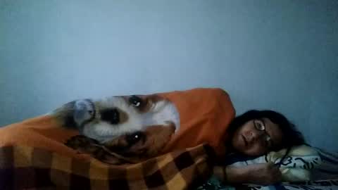 Snapshot of cameron_puppy chatting on February 2025 11:34:01 AM Mara Catalina Romero Ordez online show from February 2025 11:34:01 AM