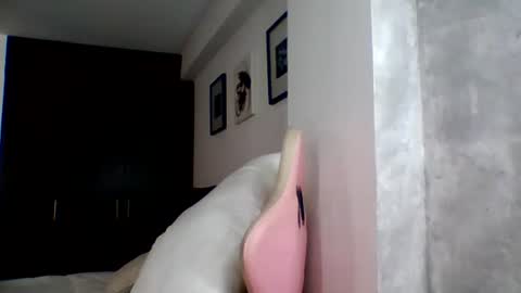 Snapshot of camilagomez_ch chatting on June 2026 07:12:02 PM camilagomez_ch online show from June 2026 07:12:02 PM