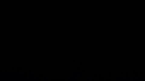 camilio96 online show from February 2026 02:53:01 AM